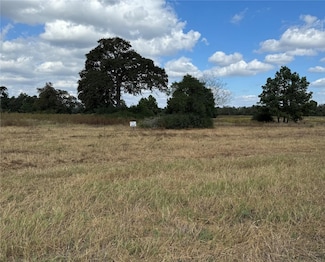 TR 45 Private Road 1315, Centerville, TX 75833