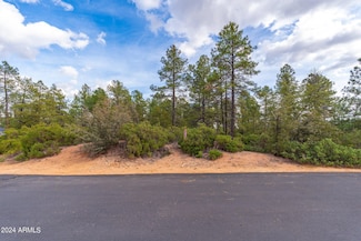 3103 E Game Trail -- Unit 253, Payson, AZ 85541