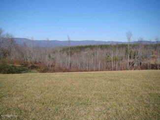 TBD Hawks Dr, Cana, VA 24317