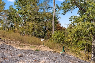 Lot 91 Restore Cir, Harrison, AR 72601