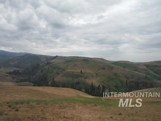 Lot 4 Middle Fork Rd, Council, ID 83612