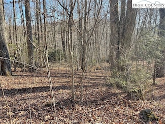 14 Jackson Ridge Rd, Boone, NC 28607