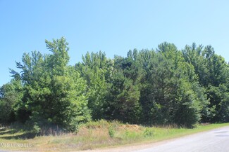 100 Cedar Crest Dr, Coldwater, MS 38618