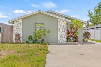 9112 Suffield Ct, Tampa, FL 33615