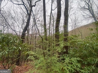 LOT 17 Ridgepole Dr, Sky Valley, GA 30537