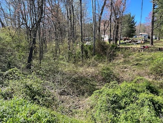 TBD Cherry Ln, Ivanhoe, VA 24350