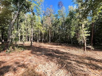 Tract 4 Pleasant Hill Rd, Ten Mile, TN 37880