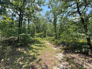 17 Acres Hard Luck Ln, Windsor, SC 29856