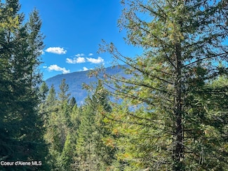 NNA Turner Hill Rd Lot 1 (3900a), Bonners Ferry, ID 83805