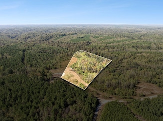 0 Cox Hollow Rd, Dover, TN 37058