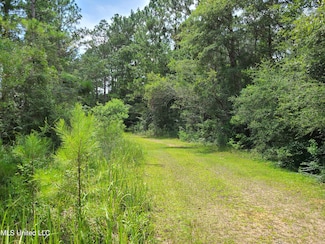 0 Mississippi 612, Lucedale, MS 39452