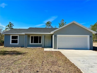 12 Fisher Loop Ct, Ocklawaha, FL 32179