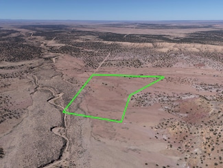 Tbd Longo Ln, Saint Johns, AZ 85936