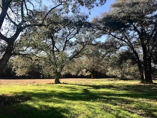 000 Open Pond Rd, Florala, AL 36442