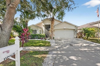 10026 Creek Bluff Dr, Riverview, FL 33578