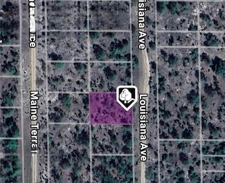 LOT 19 AND 20 Louisiana Ave, Hawthorne, FL 32640