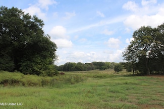 13 Old Barn Cove, Hernando, MS 38632