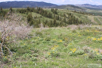 00 Caribou Rd, Soda Springs, ID 83276