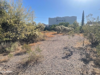6039 S Alameda Rd Unit 166, Gold Canyon, AZ 85118