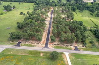 12133 Suzanne Ln, Flint, TX 75762