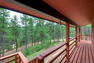 10191 Apache Spring Dr, Conifer, CO 80433