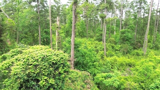 0 Tbd Anderson County Road 182, Elkhart, TX 75839