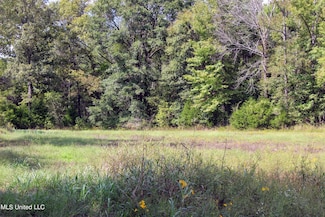 391 300, Big Creek, MS 38914