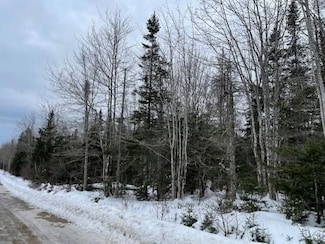 Lot #13 Putnam Dr, Harrington, ME 04643