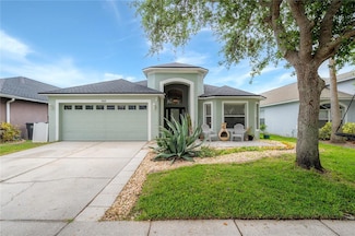 19028 Fishermans Bend Dr, Lutz, FL 33558