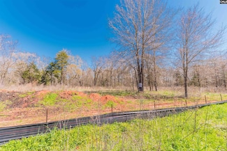 0 Lands End Ln Unit 579421, Prosperity, SC 29127