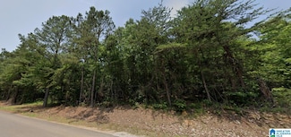 00 Bama Rock Garden Rd, Vance, AL 35490