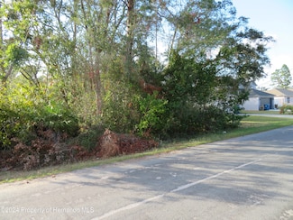 0 Tomahawk Ave Unit 2241743, Spring Hill, FL 34606