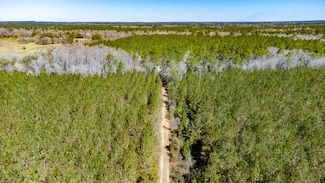 XX1 Bonnett Pond Rd, Chipley, FL 32428