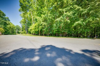 Tbd Hunter Ln, Church Hill, TN 37642