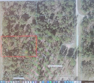TBD SW 125th Terrace, Dunnellon, FL 34432