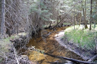 5251 Hodge Rd, Kingsley, MI 49649