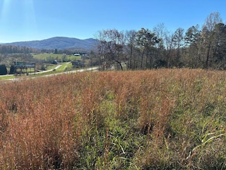 Lots 1-4 Windy Ridge Terrace & Hwy 69, Hayesville, NC 28904