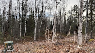 673 N Wilhelm St, Houston, AK 99654