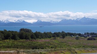 41151 Wandering St, Homer, AK 99603