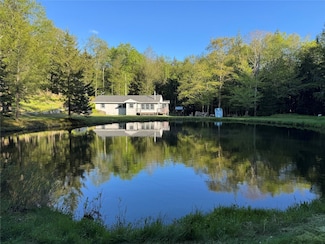 128 Forest Dr, Livingston Manor, NY 12758