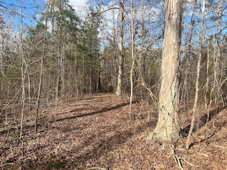 265 Lost Pond Ln, Appling, GA 30802