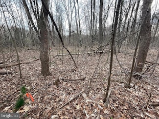 0 Georgetown Rd SE Unit MDKE2005218, Chestertown, MD 21620