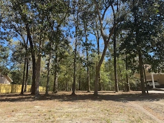 0 Dowling Ave, Walterboro, SC 29488