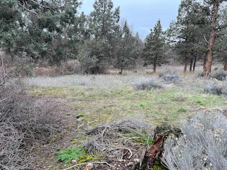 9-1 Lot 144 Brookside Rd Unit 9-1, Weed, CA 96094
