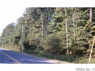 0 Pine Grove Rd Unit S260364, Greig, NY 13622