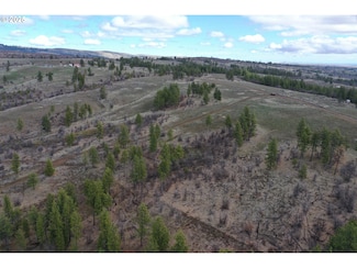 0 Jensen Quarry Rd Unit 458778571, Bickleton, WA 99322