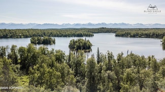 22235 S Twin Island Dr, Point MacKenzie, AK 99654
