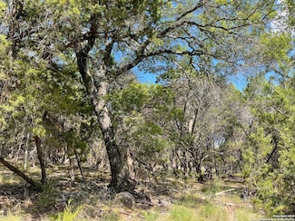 LOTS 1-7 Park Road 37, Lakehills, TX 78063