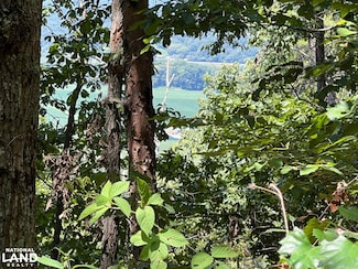 0 County Road 1944, Collinsville, AL 35961