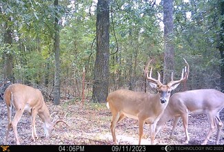 6 E County Rd 1110, Checotah, OK 74426